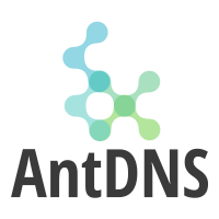 AntDNS